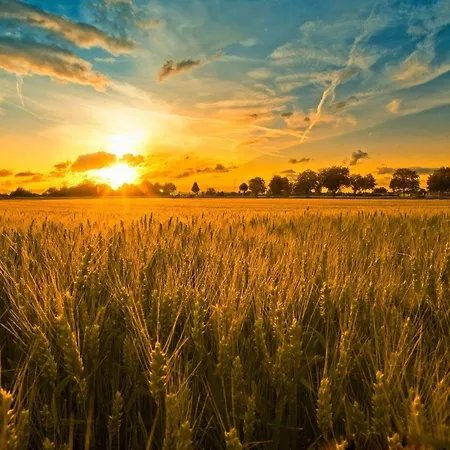 Nonna Alda Casa di campagna *