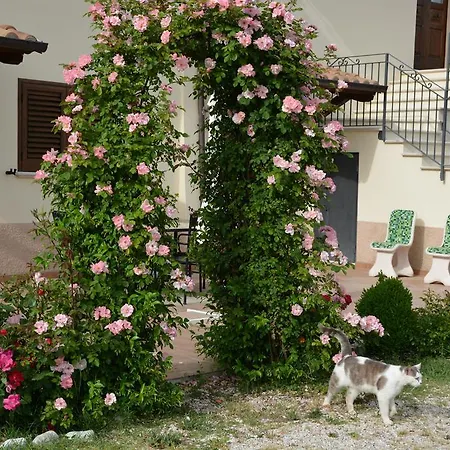 Nonna Alda Casa di campagna Spoleto