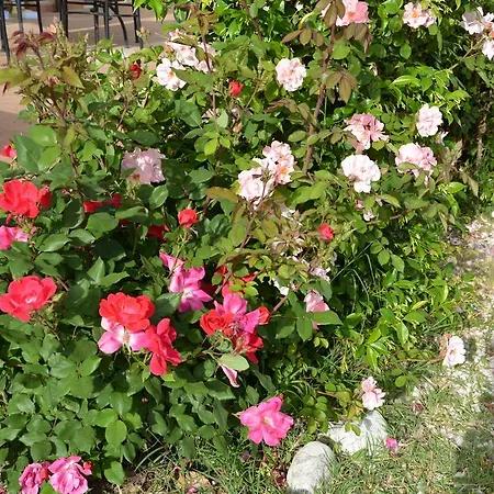 컨트리하우스 Nonna Alda 스폴레토